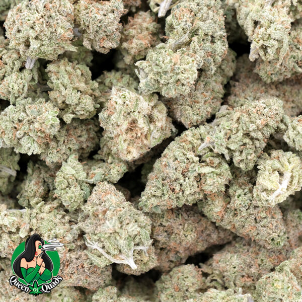 Gummy Bears (Popcorns) - Hybrid - AAAA - Queens Of Quads 1