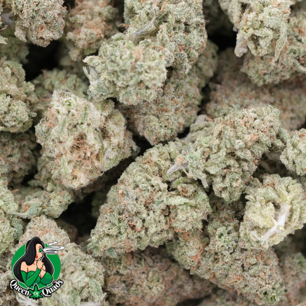 Gummy Bears (Popcorns) - Hybrid - AAAA - Queens Of Quads 1
