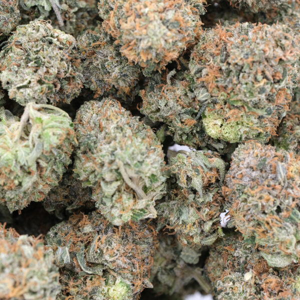 Hindu Cookies – AAA – Indica 1