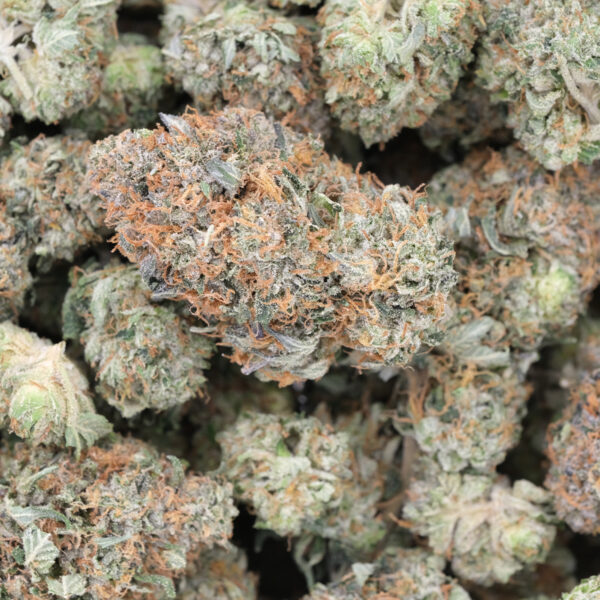 Hindu Cookies – AAA – Indica 1