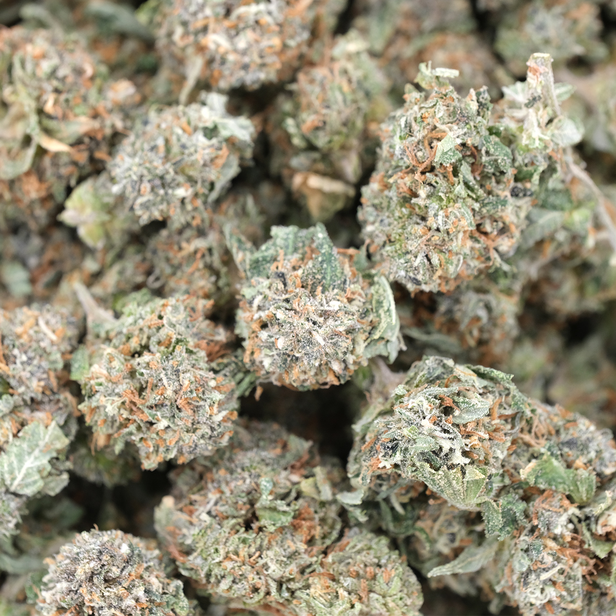 Melon OG (Popcorns) - AAA - Indica