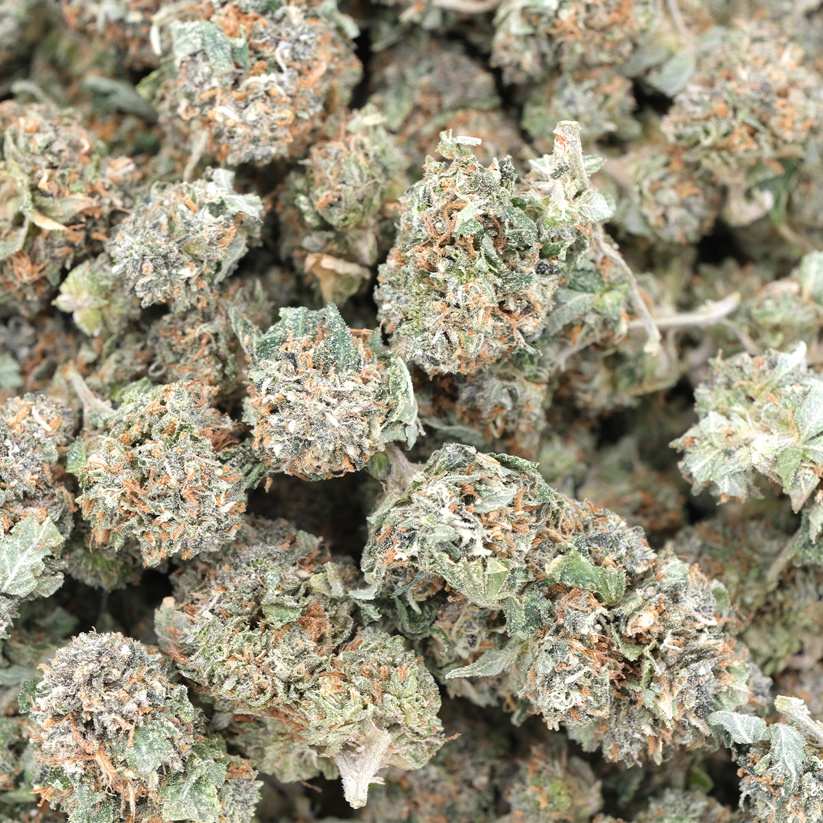 Melon OG (Popcorns) - AAA - Indica - Image 3