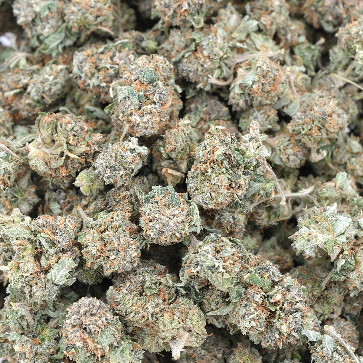 Melon OG (Popcorns) - AAA - Indica - Image 2
