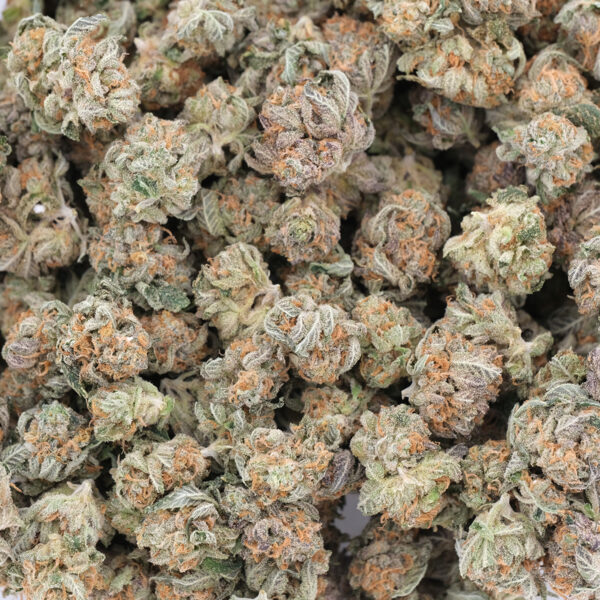 Money Maker (Pocorns) - Indica - AAA