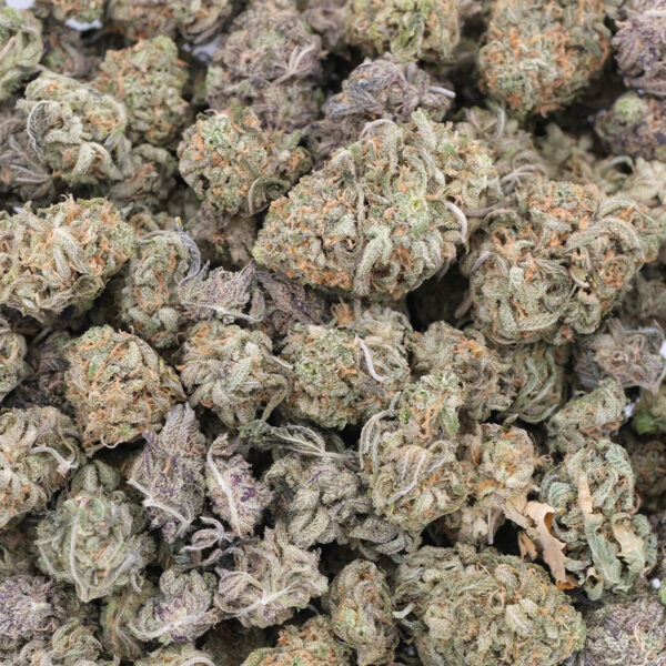 Orange Creampop (Popcorns) - Hybrid - AAA 1