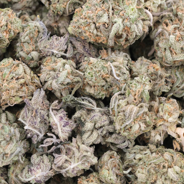Orange Creampop (Popcorns) - Hybrid - AAA 1