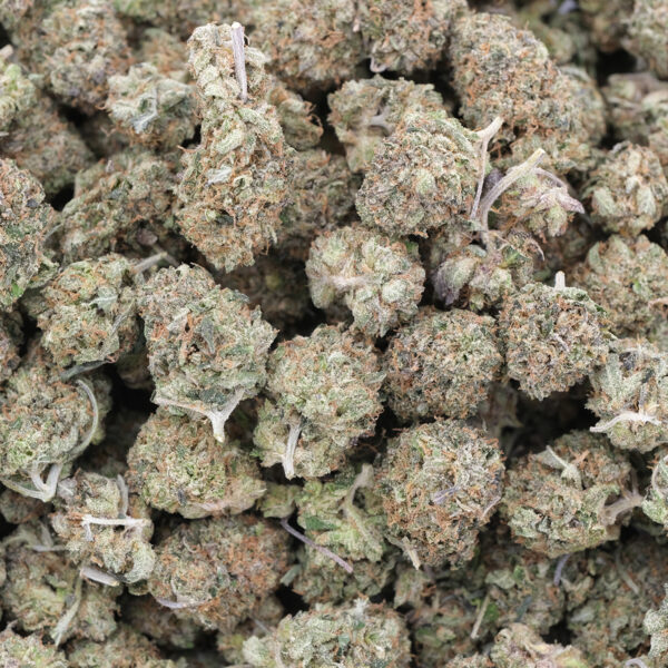 Pink Berry (Popcorns) - Indica - AAA
