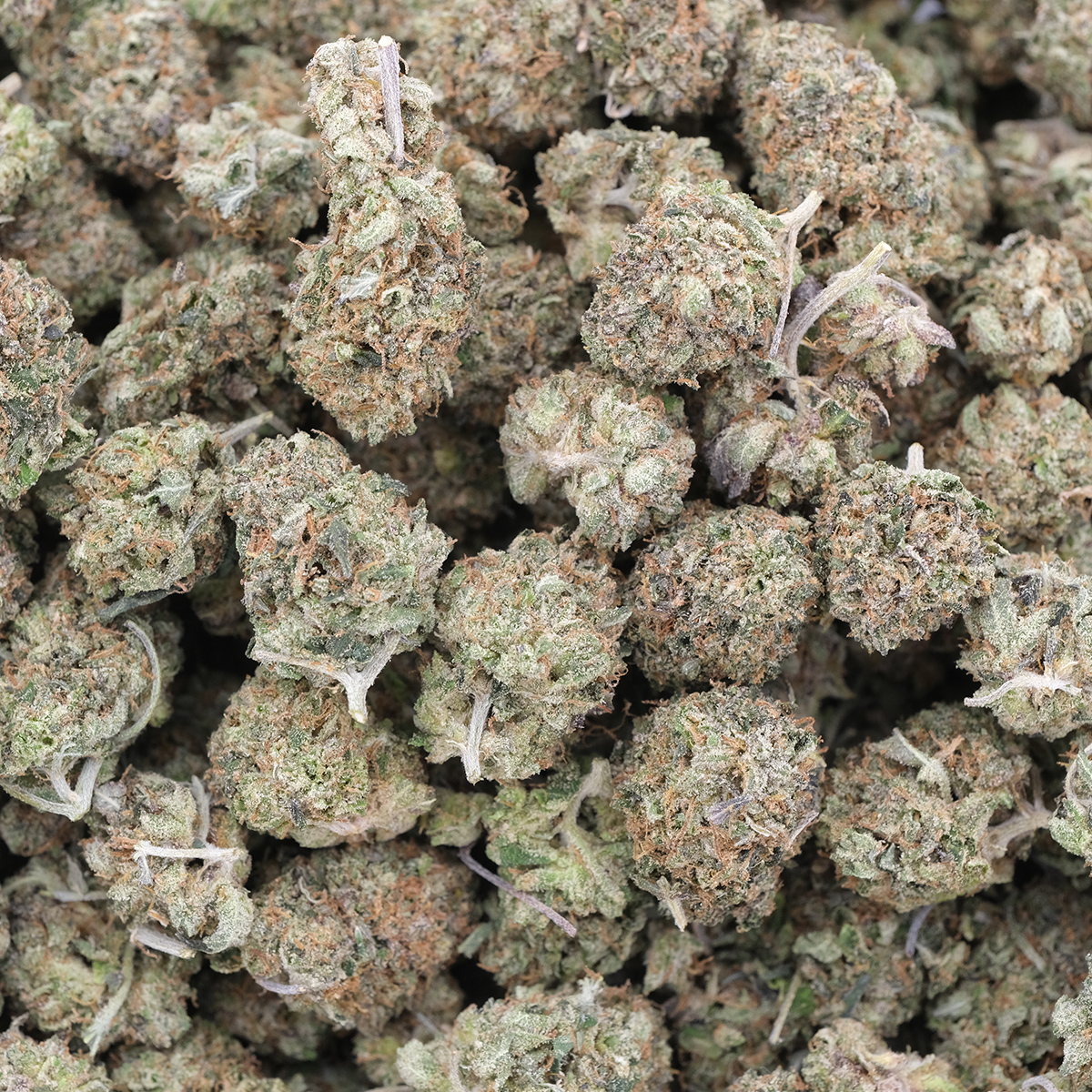 Pink Berry (Popcorns) - Indica - AAA