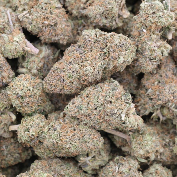 Pink Gelato - Hybrid - AAA