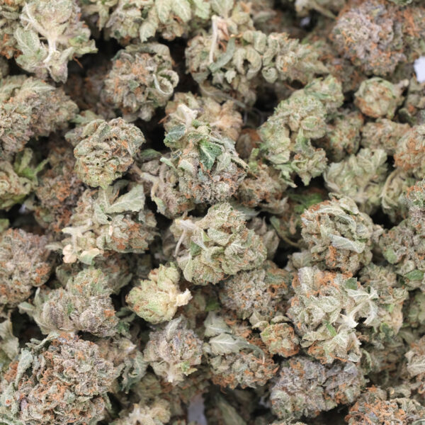 Pink Tuna (Popcorns) - Indica - AAA
