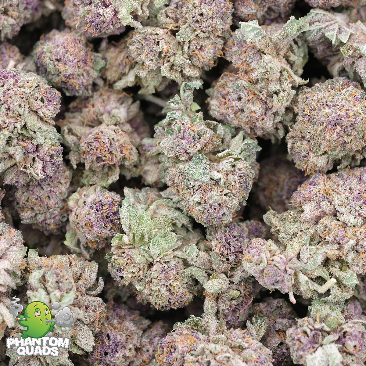 Pomegranate (Pocorns) - AAAA - Indica - Phantom Quads