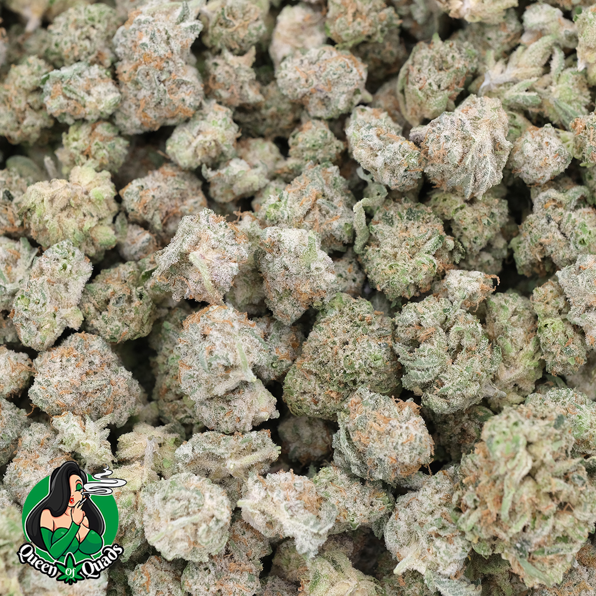 Pomelo (Popcorns) - AAAA - Hybrid - Queen Of Quads 1