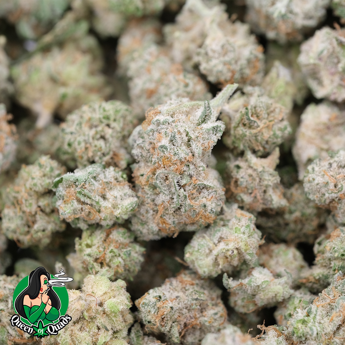 Pomelo (Popcorns) - AAAA - Hybrid - Queen Of Quads 1