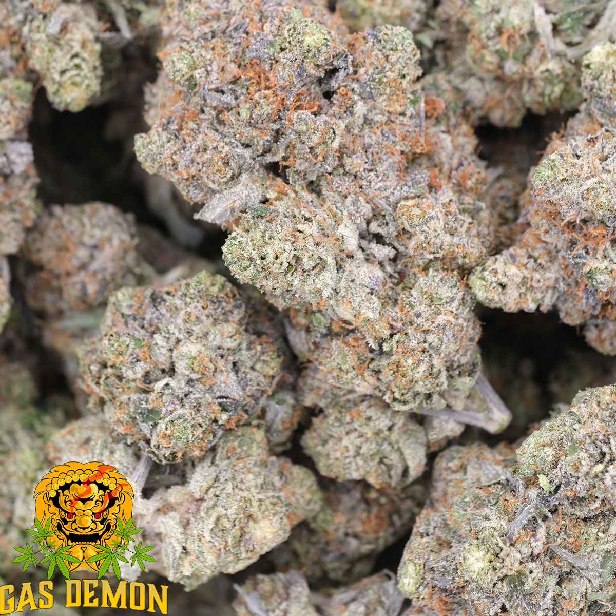 Skywalker OG - AAAA - Indica - Gas Demon 1