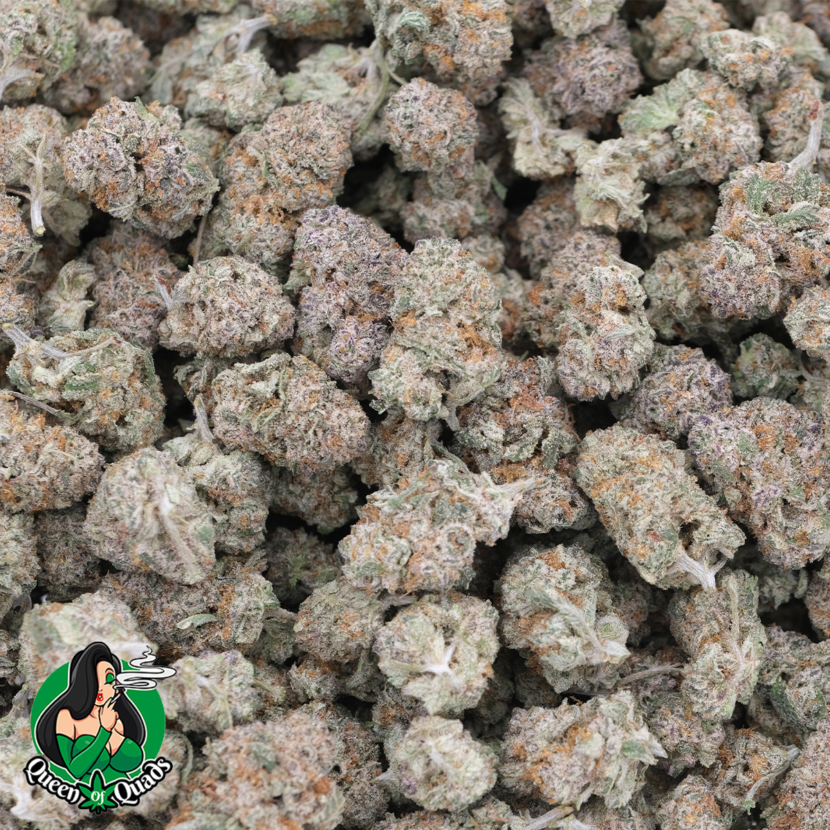 Banana Muffin (Popcorns) - Hybrid - AAAA - Queen Of Quads 1