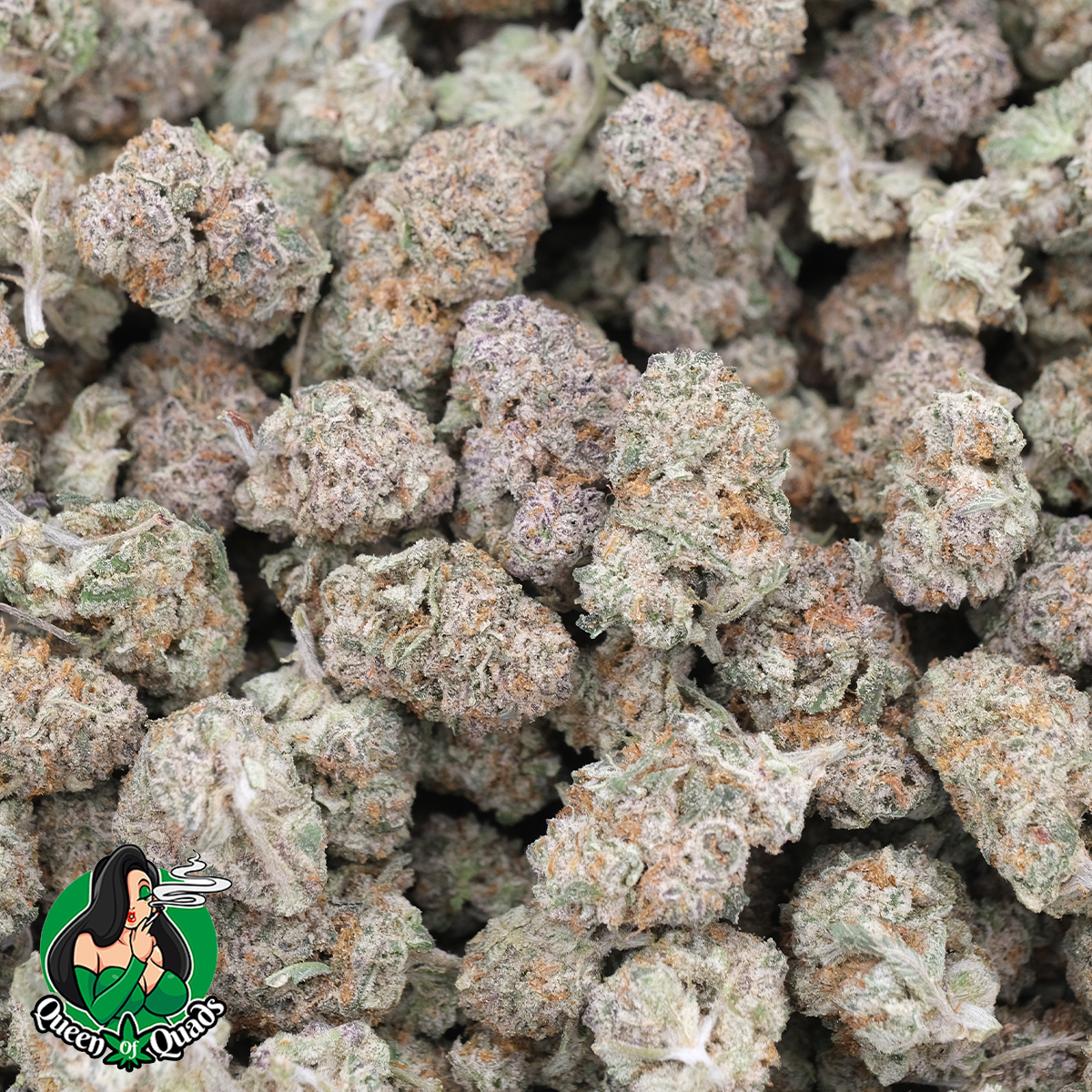 Banana Muffin (Popcorns) - Hybrid - AAAA - Queen Of Quads 1