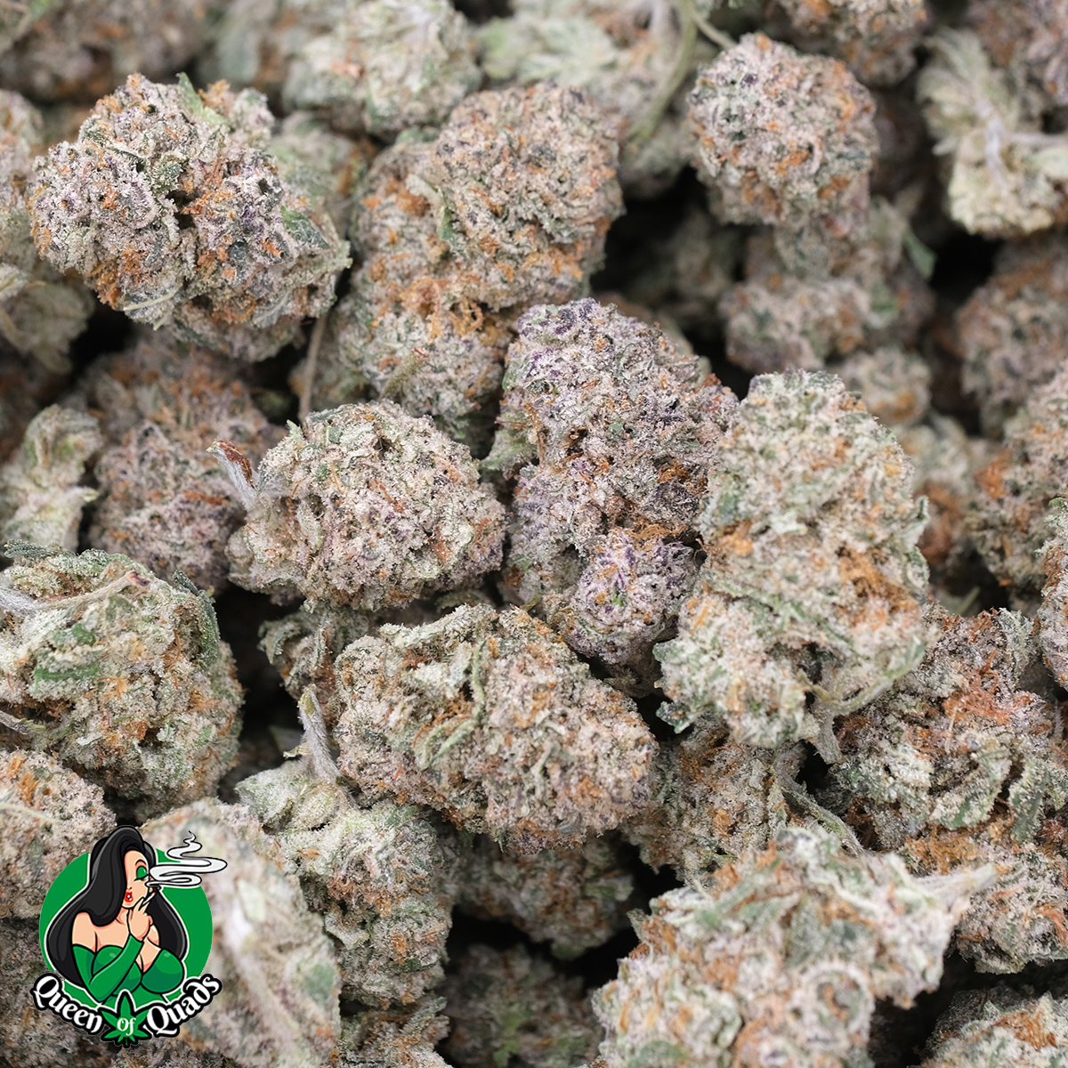 Banana Muffin (Popcorns) - Hybrid - AAAA - Queen Of Quads 1