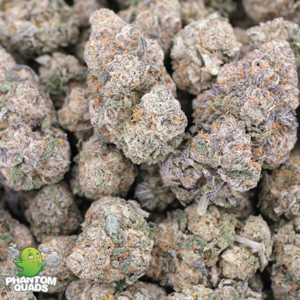 Blue Nerds (Popcorn) - AAAA - Hybrid - Phantom Quads 1