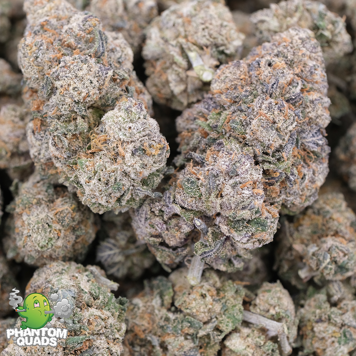 Blue Nerds (Popcorn) - AAAA - Hybrid - Phantom Quads 1