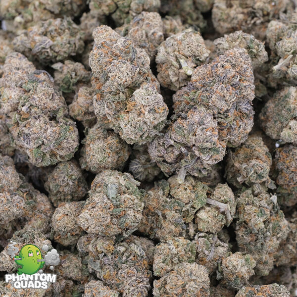 Blue Nerds (Popcorn) - AAAA - Hybrid - Phantom Quads 1