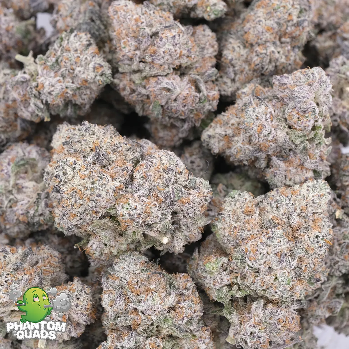 Caramel Candy Kush - AAAA - Hybrid - Phantom Quads - Image 4
