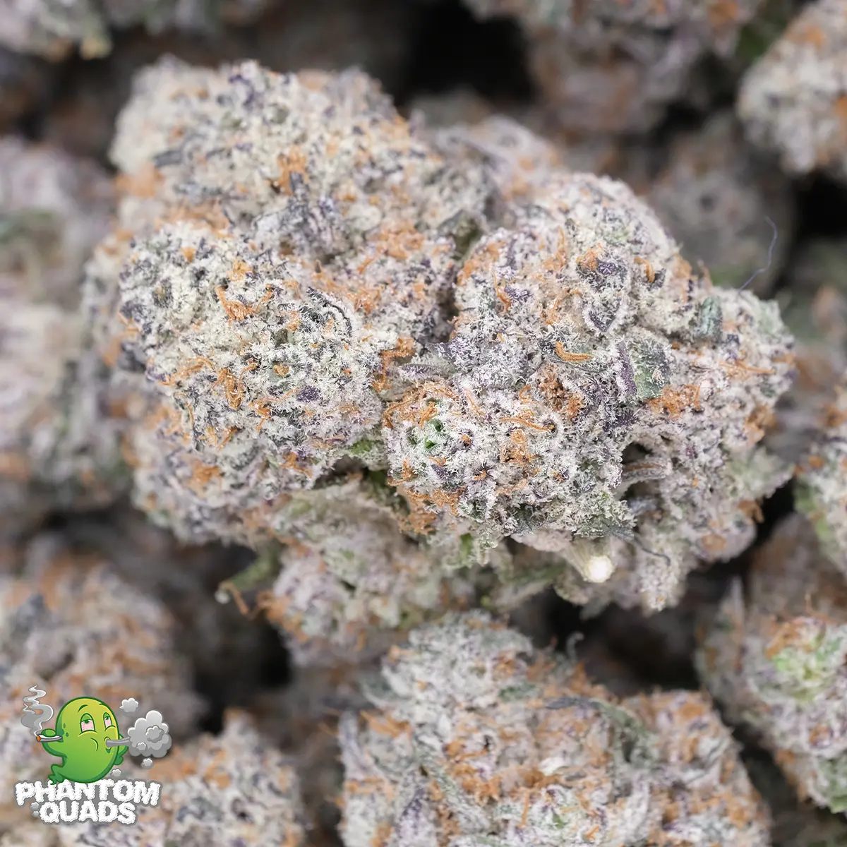 Caramel Candy Kush - AAAA - Hybrid - Phantom Quads - Image 3