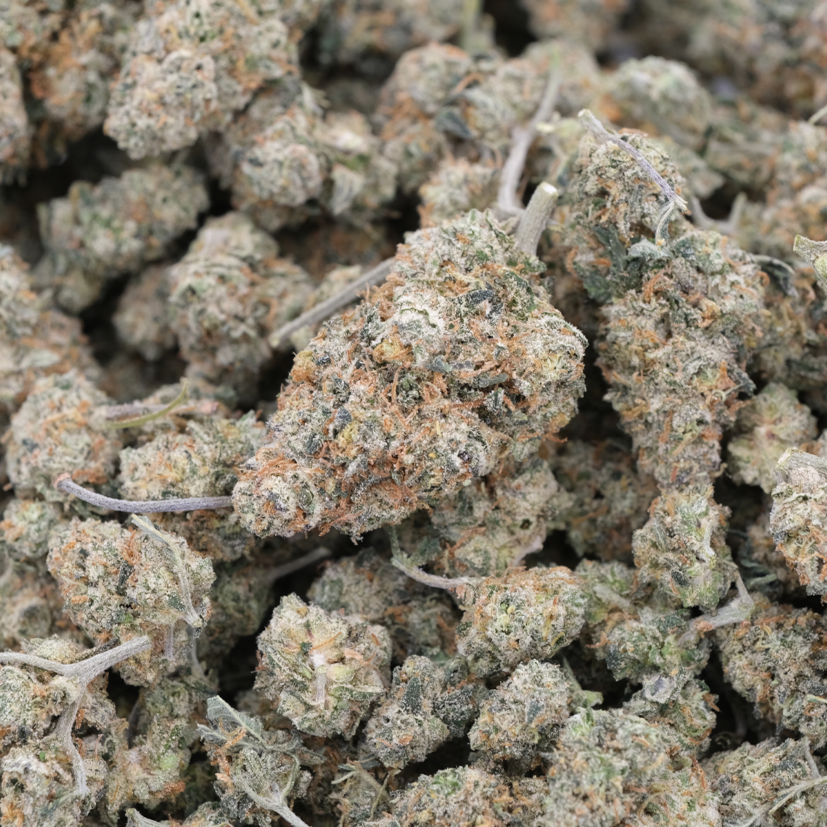 Cotton Candy - Indica Dominant - AAA 1