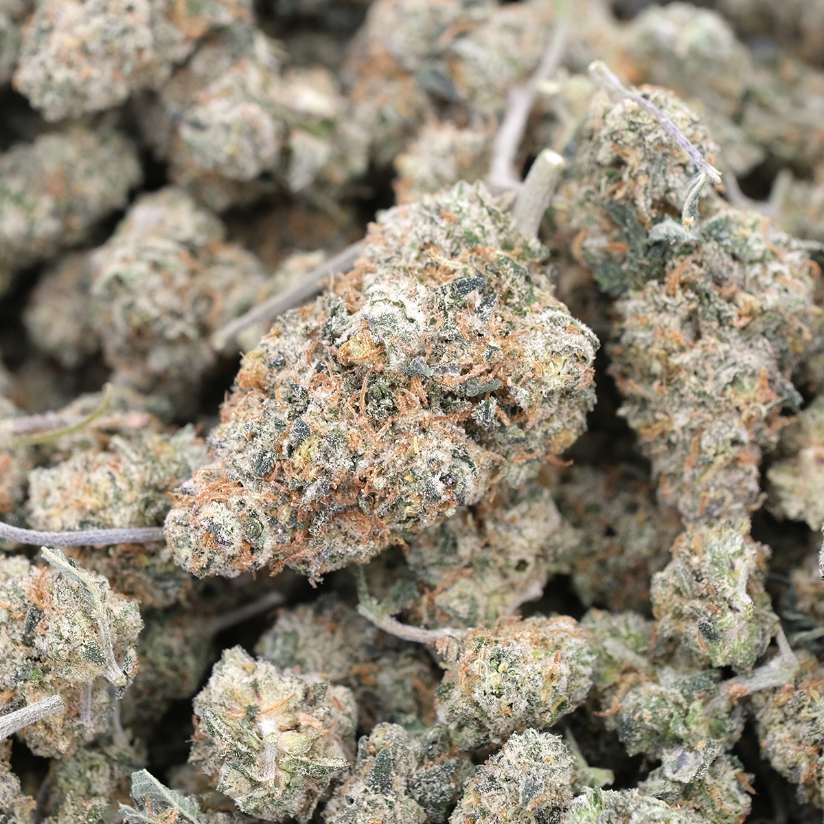 Cotton Candy - Indica Dominant - AAA 1