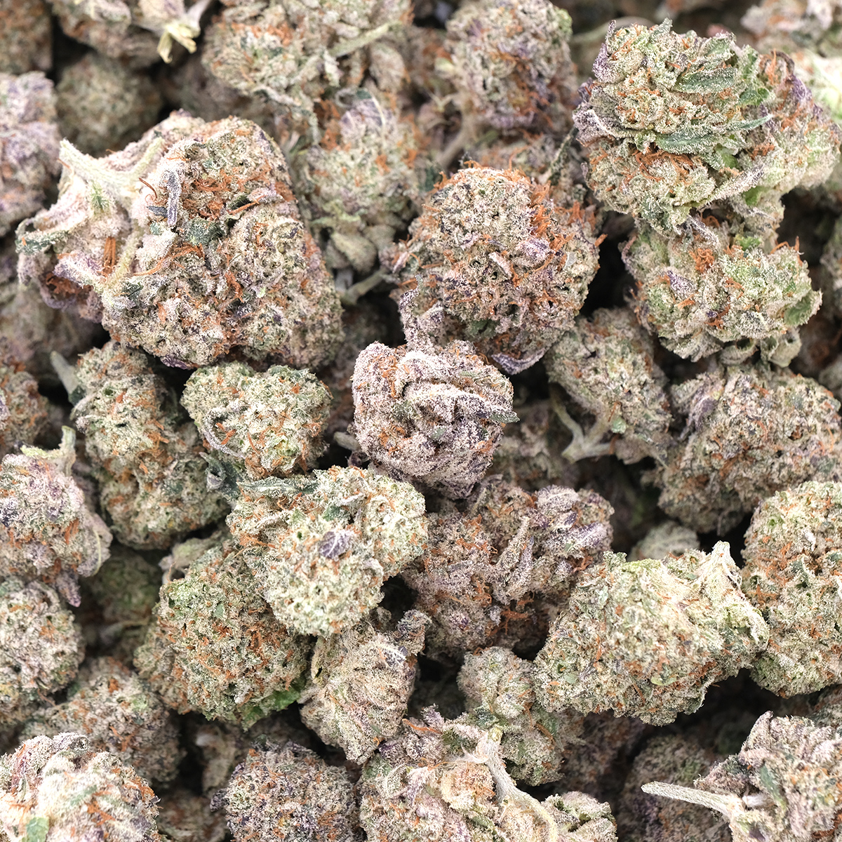 Dream Berry - Indica Dominant - AAA