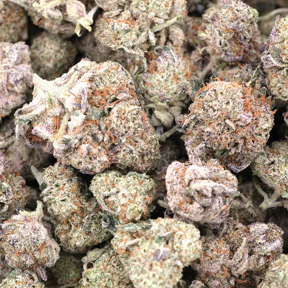 Dream Berry - Indica Dominant - AAA - Image 2