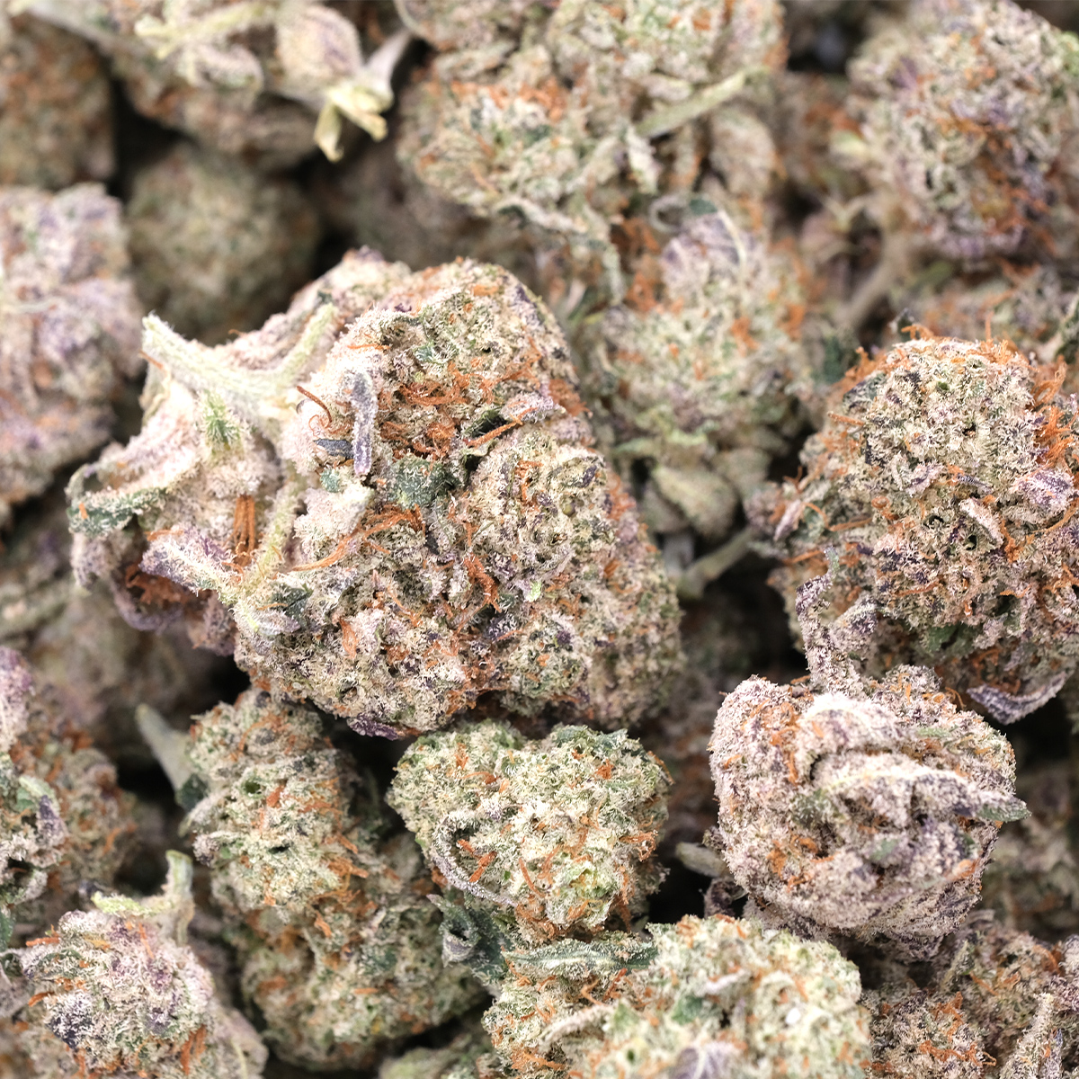 Dream Berry - Indica Dominant - AAA - Image 3
