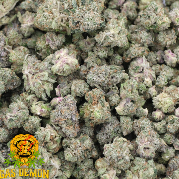 Gas Breath (Popcorns) - Indica - AAAA - Gas Demon 3
