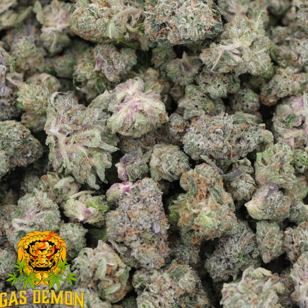 Gas Breath (Popcorns) - Indica - AAAA - Gas Demon 3