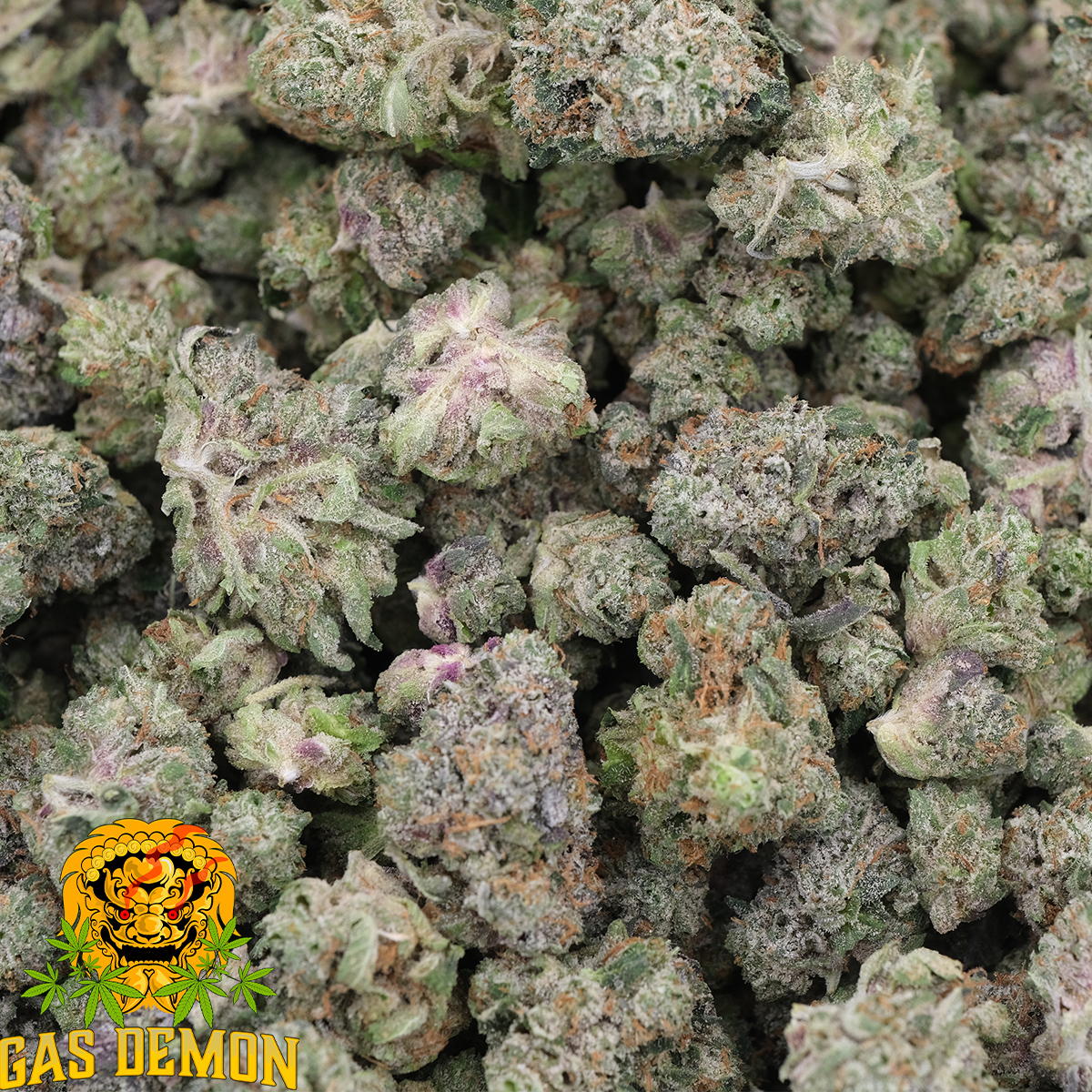 Gas Breath (Popcorns) - Indica - AAAA - Gas Demon 3