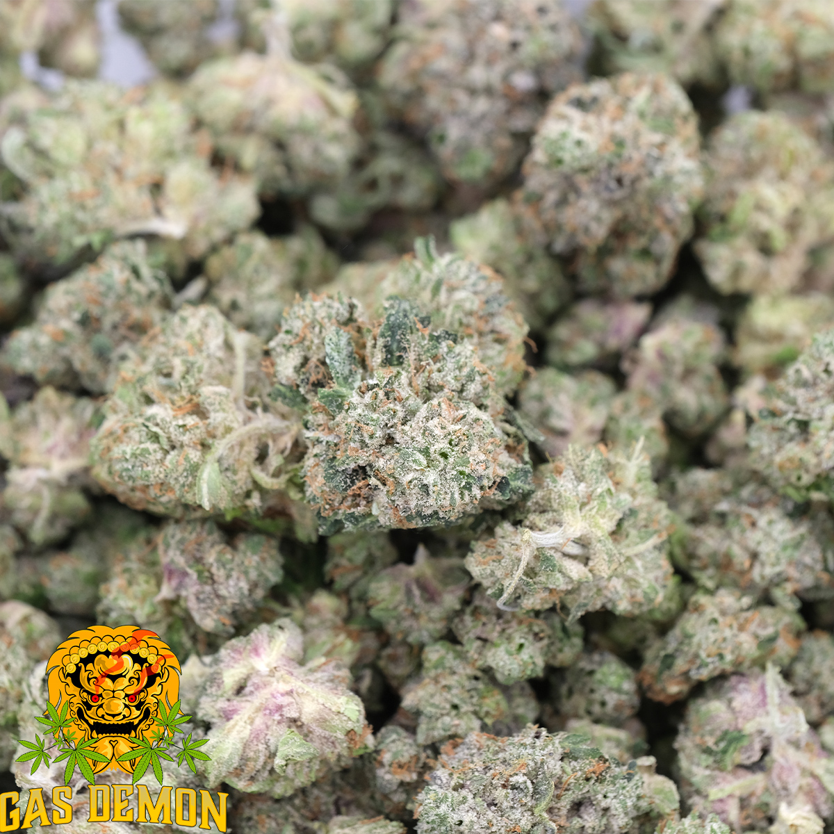 Gas Breath (Popcorns) - Indica - AAAA - Gas Demon 3