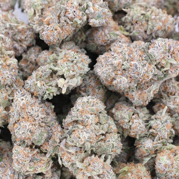 Green Crack - Sativa Dominant - AAA 1