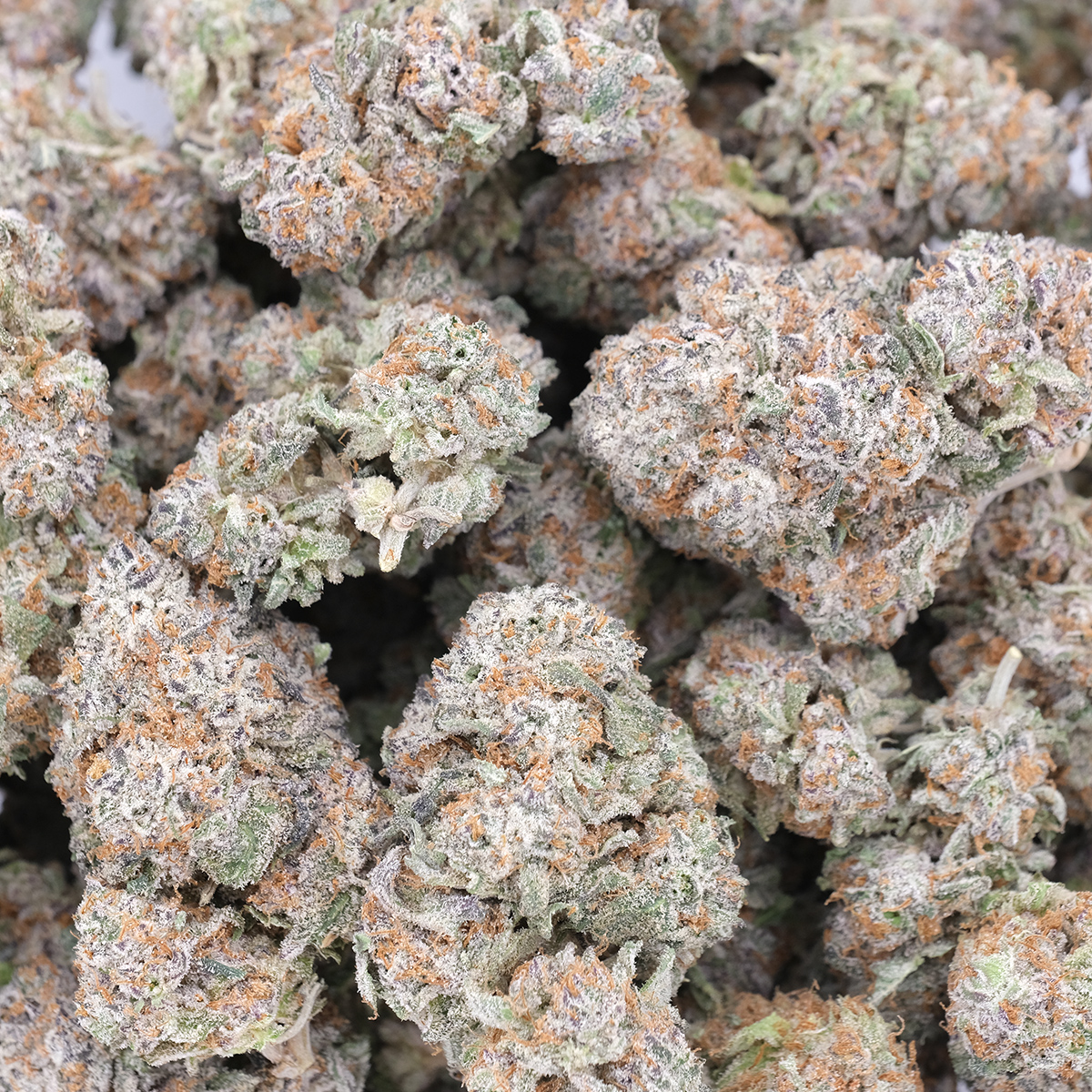 Green Crack - Sativa Dominant - AAA 1