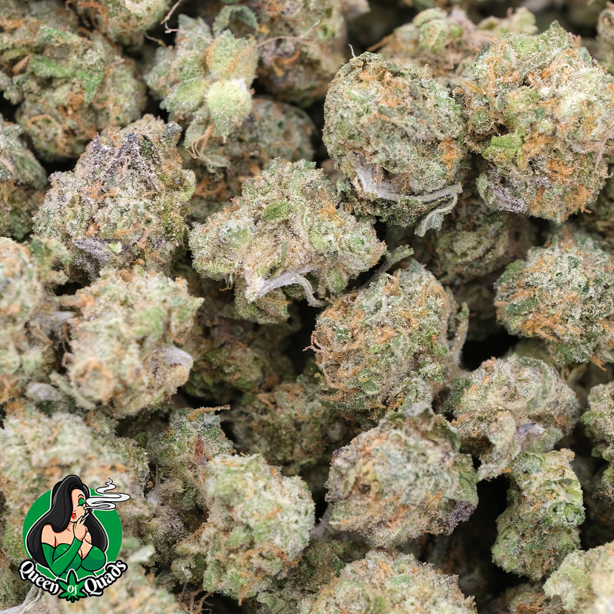 Maui Wowie (Popcorn) - AAAA - Hybrid - Queen Of Quads