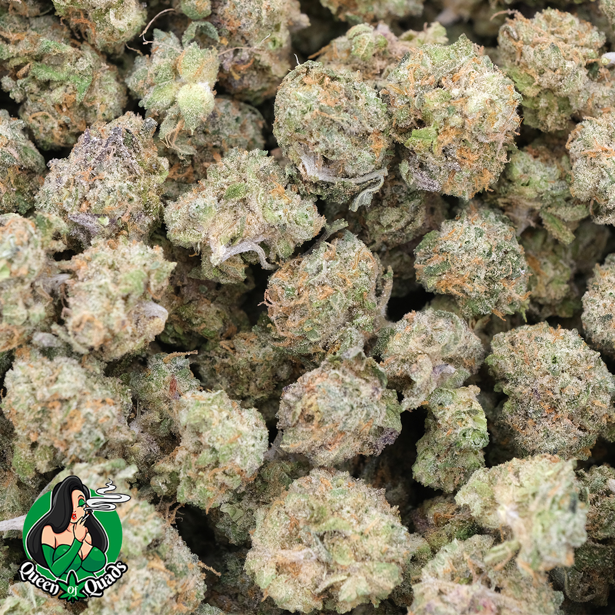 Maui Wowie (Popcorn) - AAAA - Hybrid - Queen Of Quads