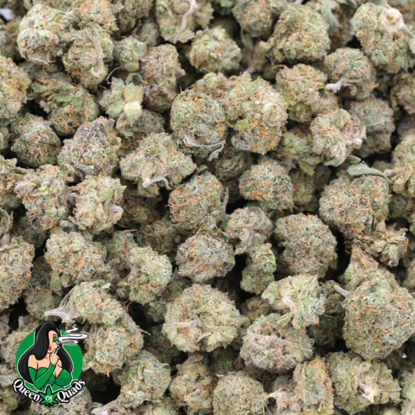 Maui Wowie (Popcorn) - AAAA - Hybrid - Queen Of Quads
