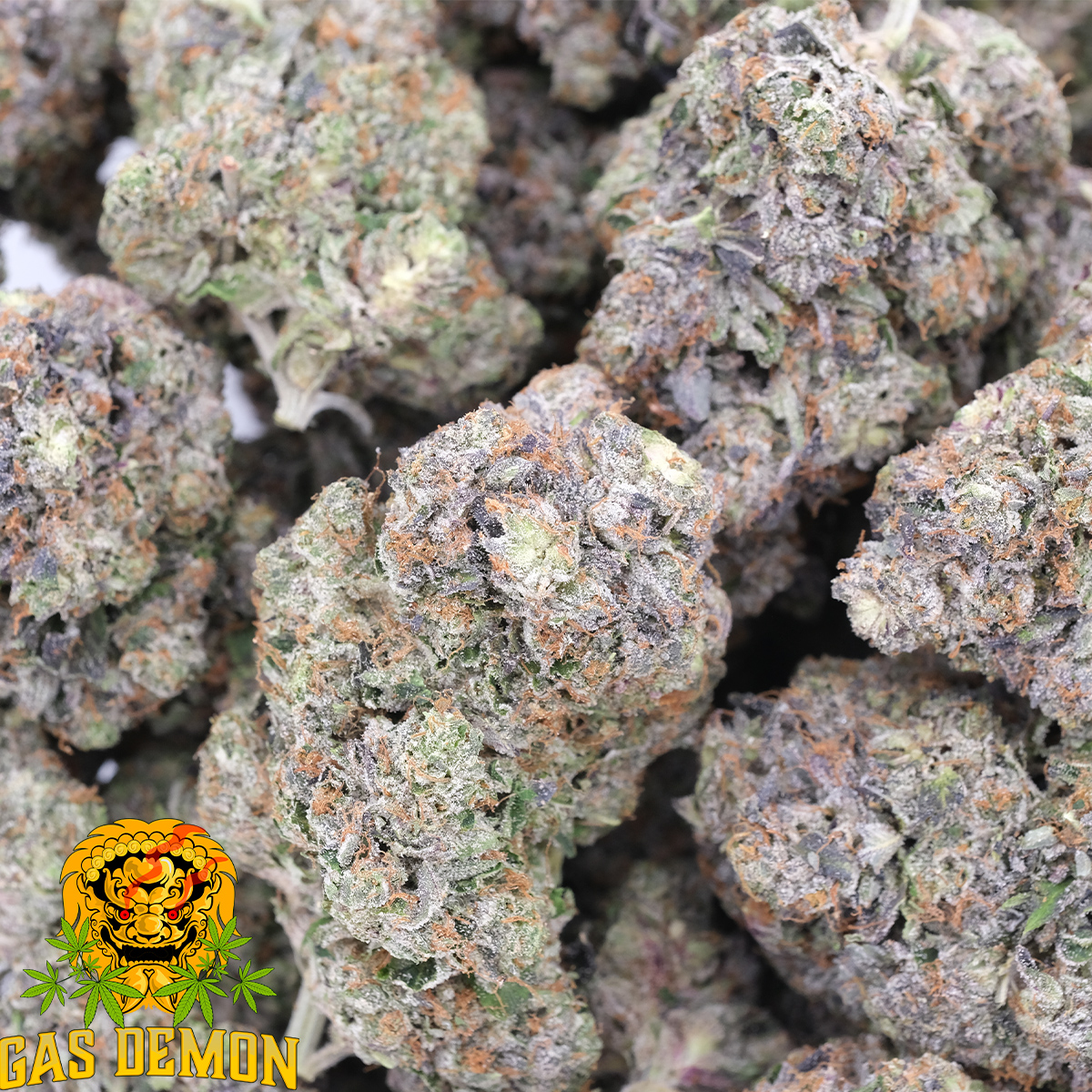 Milky Way - Indica - AAAA - Gas Demon - Image 2