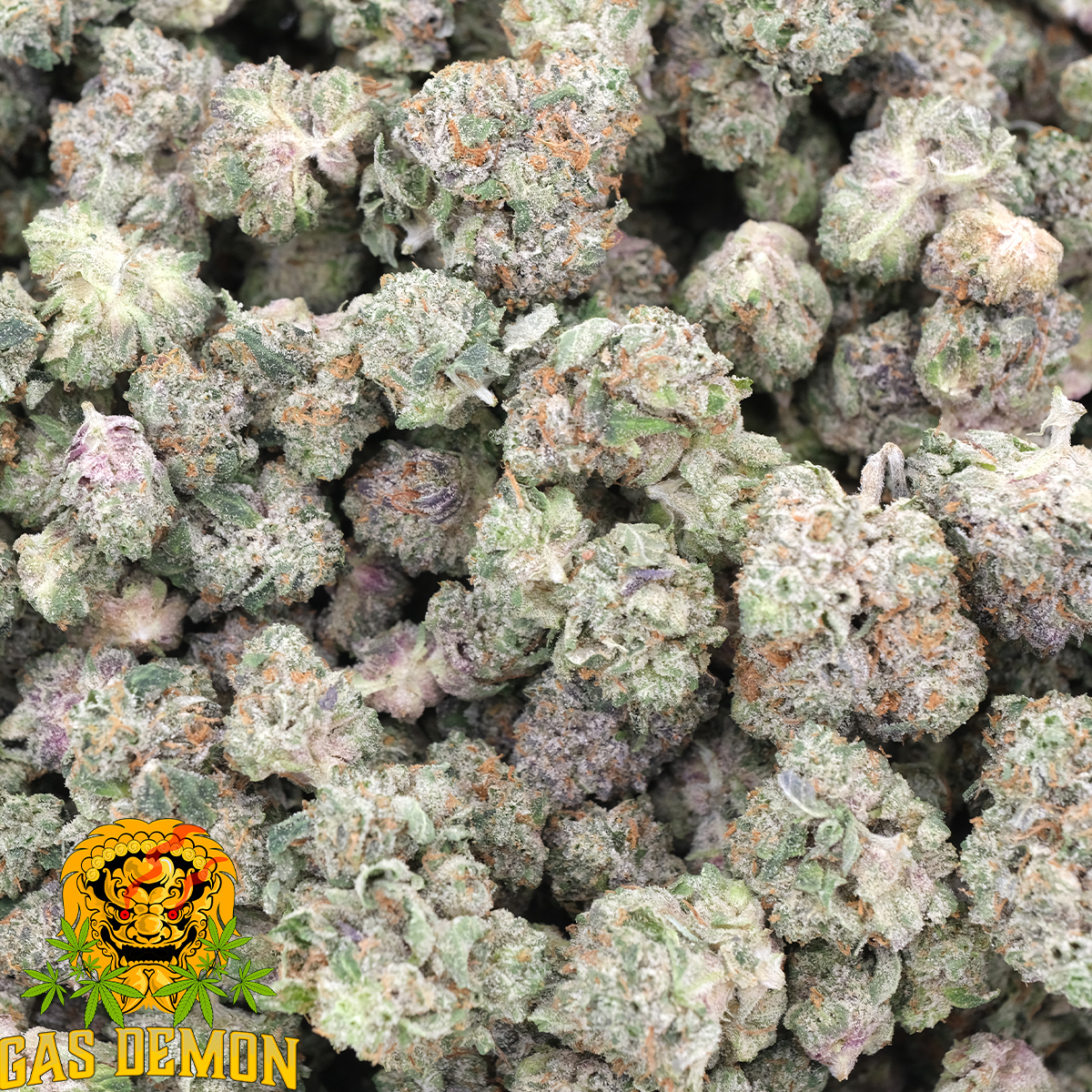 Pink Crack (Popcorns) - Indica - AAAA - Gas Demon 1