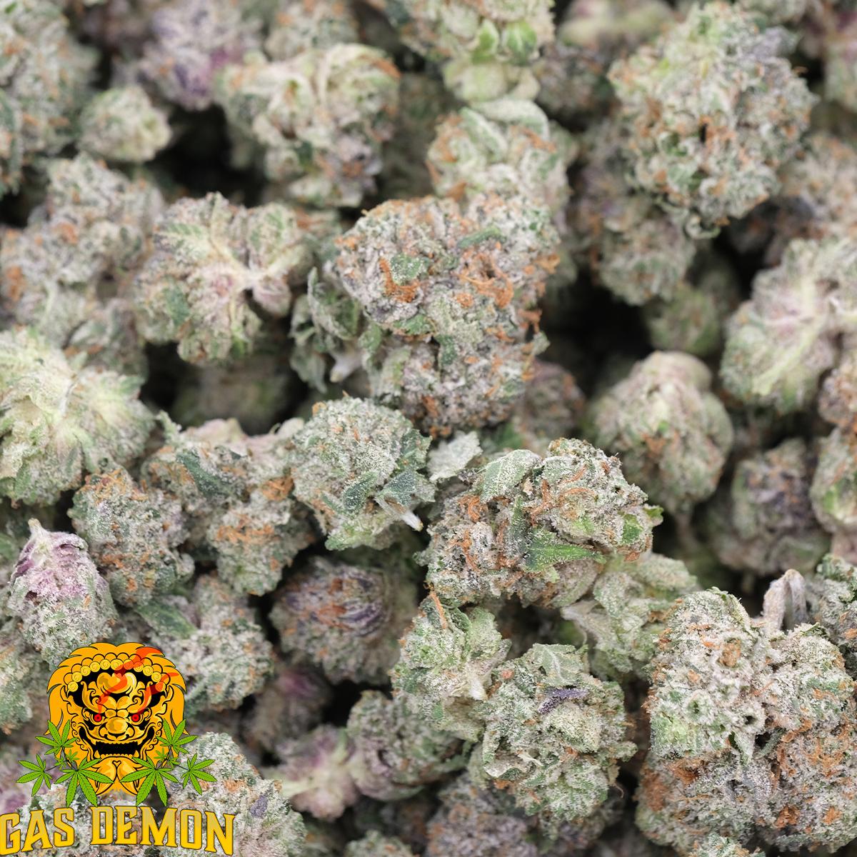 Pink Crack (Popcorns) - Indica - AAAA - Gas Demon 1