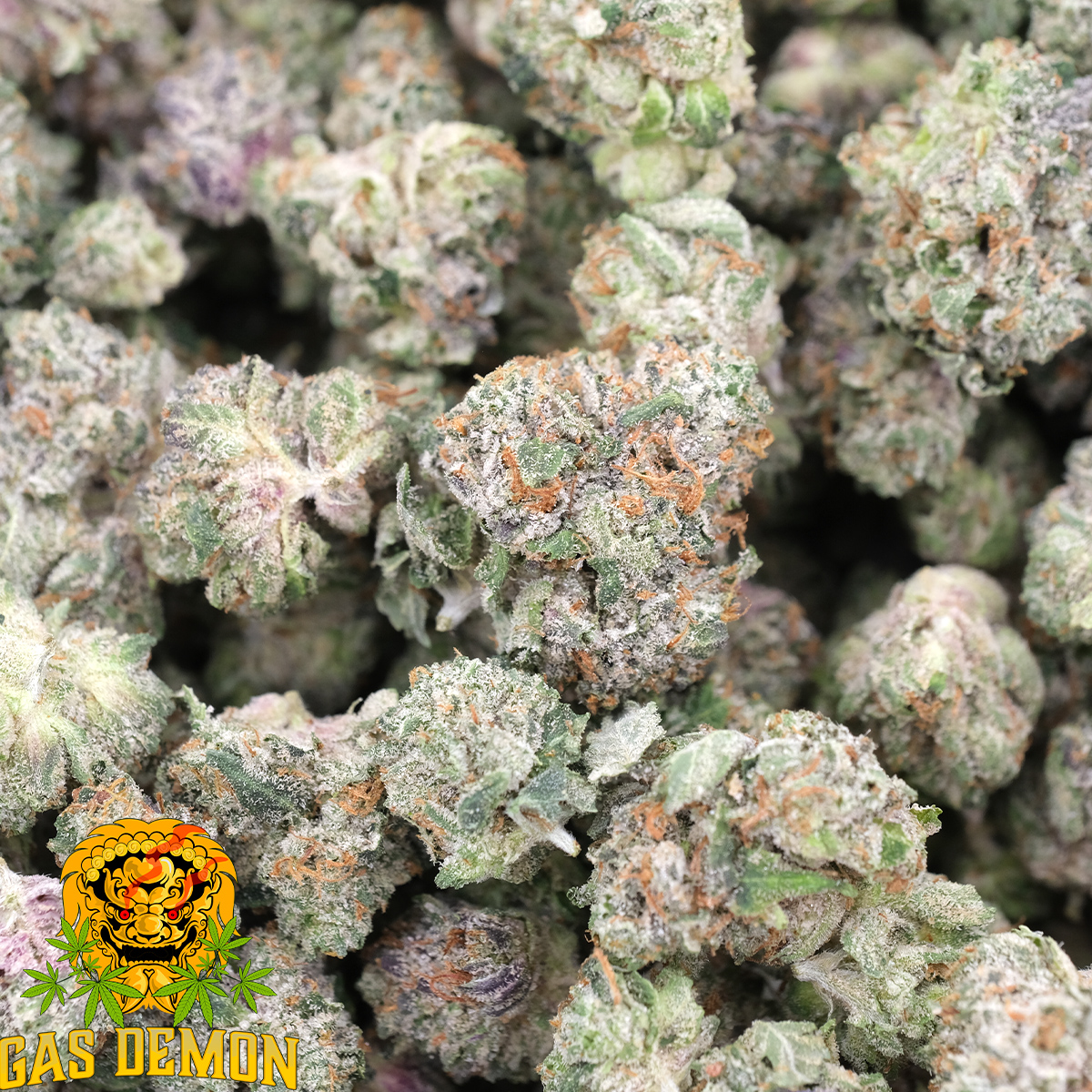 Pink Crack (Popcorns) - Indica - AAAA - Gas Demon 1