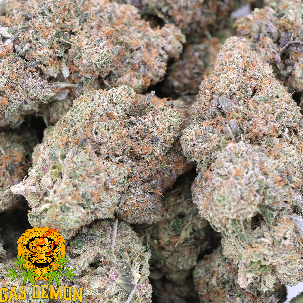 Pre-98 Bubba Kush - Indica - AAAA - Gas Demon 1
