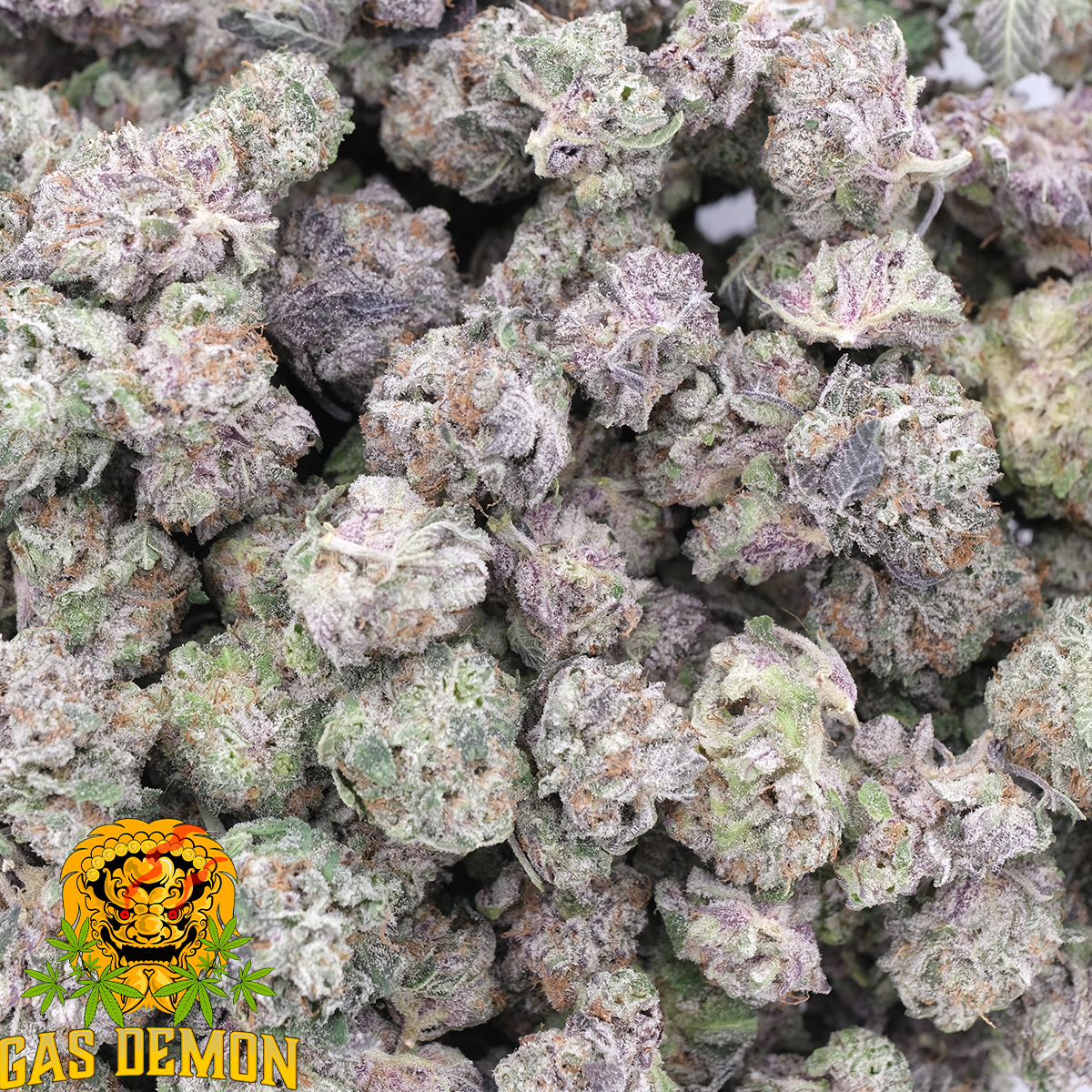 Purple Kush (Popcorn) – AAAA – Indica – Gas Demon 1