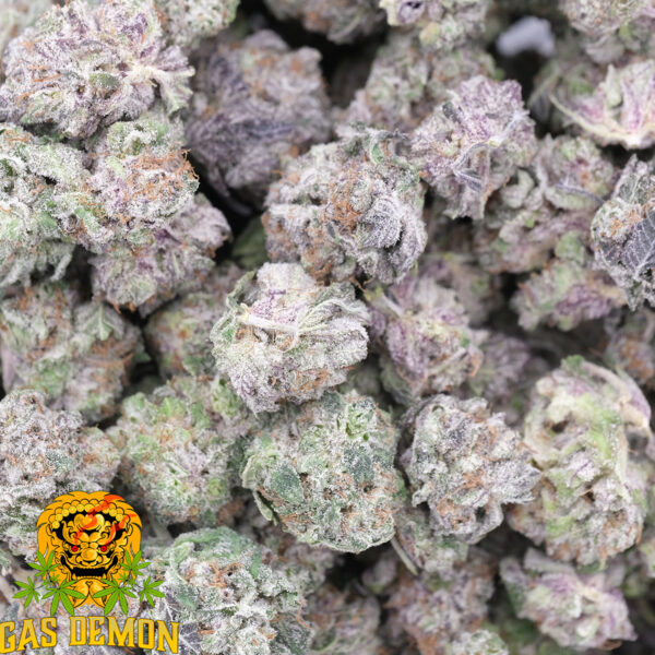 Purple Kush (Popcorn) – AAAA – Indica – Gas Demon 1