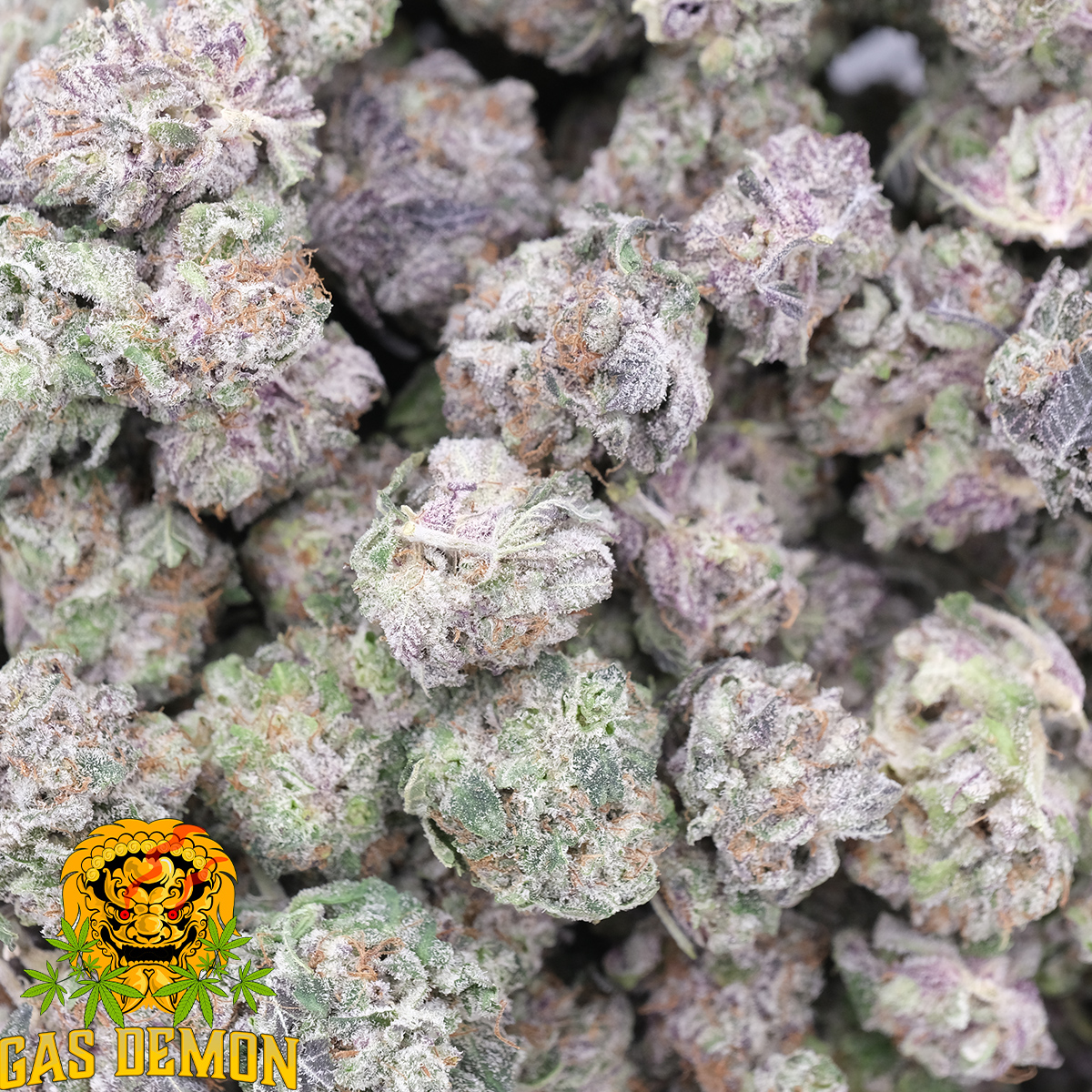 Purple Kush (Popcorn) – AAAA – Indica – Gas Demon 1