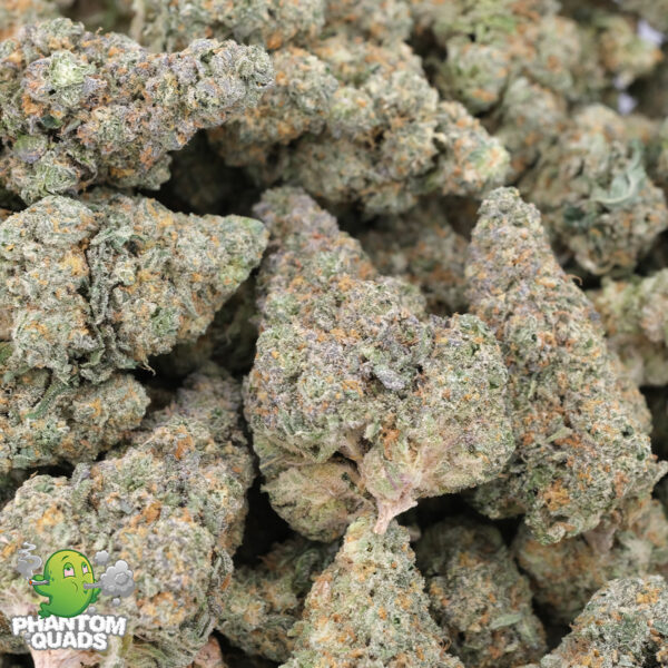 Strawberry Lemonade (Popcorns) – AAAA - Hybrid – Phantom Quads