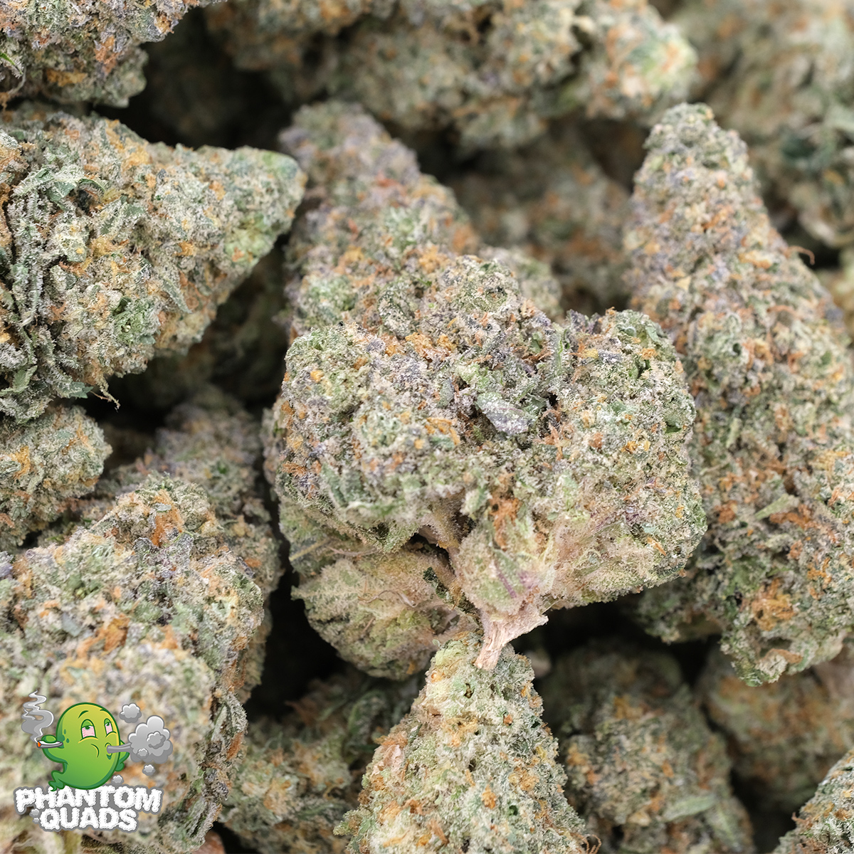Strawberry Lemonade (Popcorns) – AAAA - Hybrid – Phantom Quads